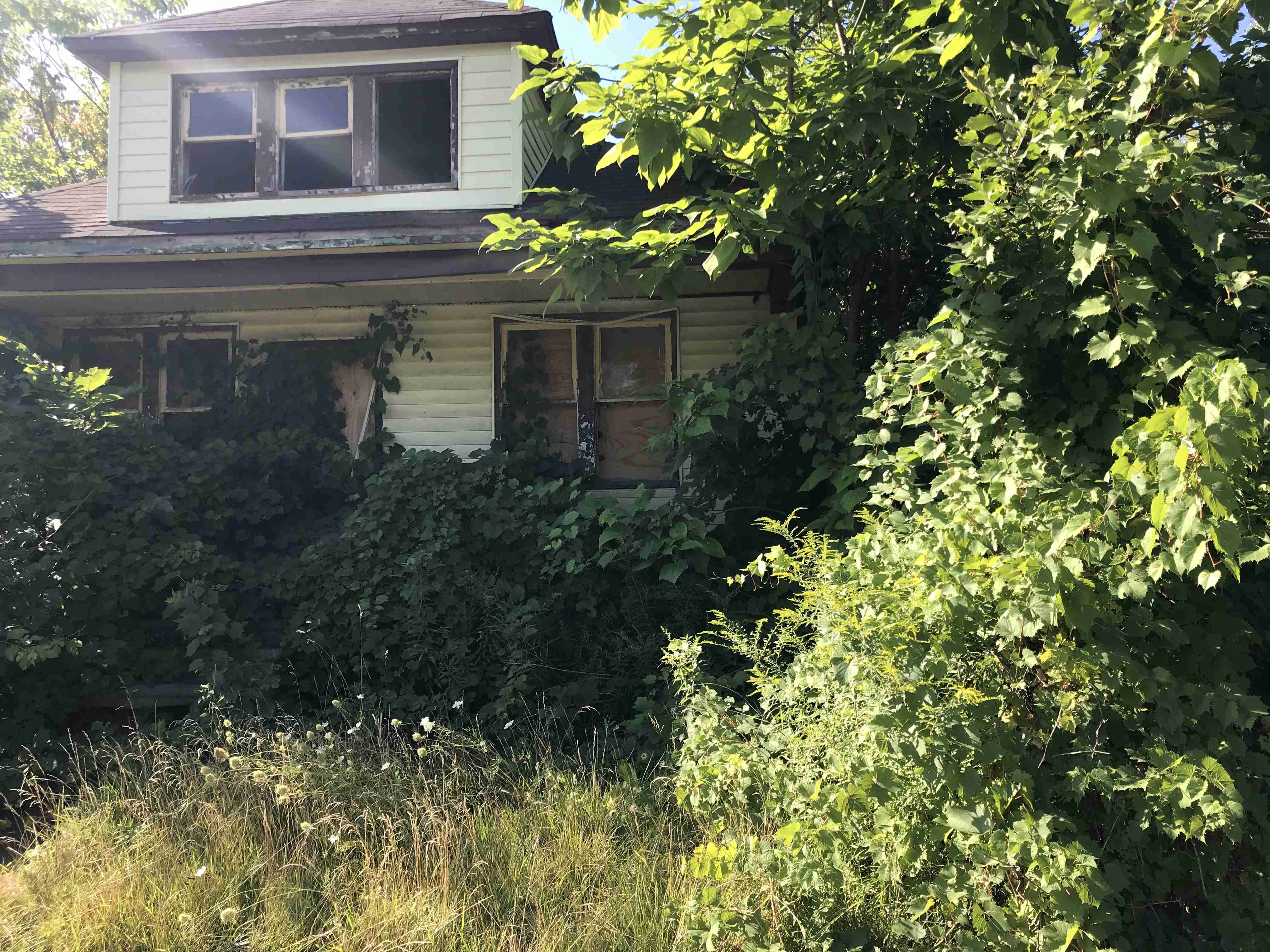 Photo Aug 20, 10 07 01 AM.jpg